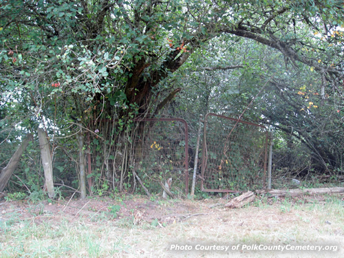 Whiteaker Cemetery